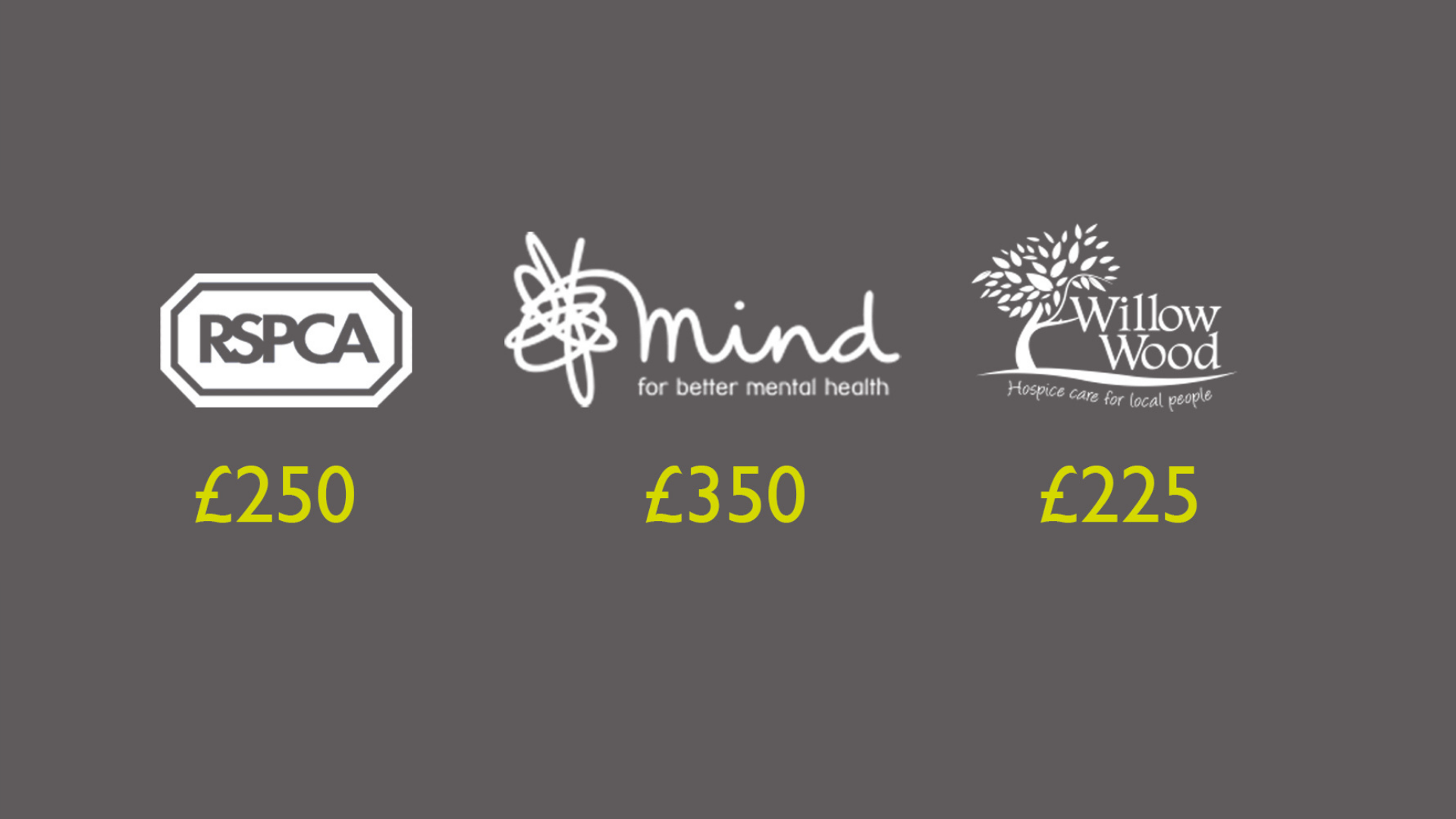 Charity Donations Amount